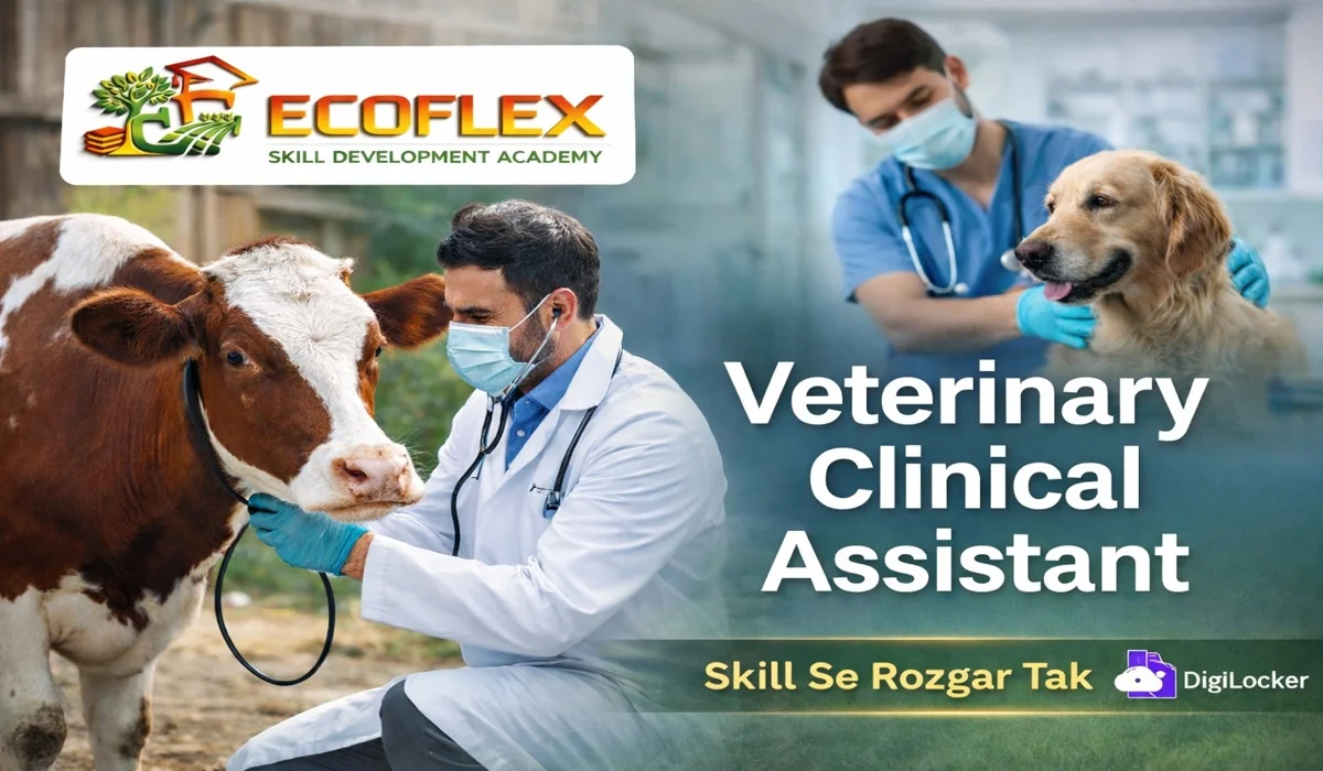 VETERINARY CLINICAL ASSISTANT